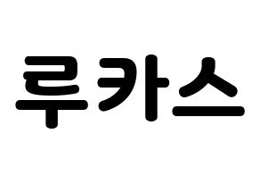 KPOP NCT(엔씨티、エヌシーティー) 루카스 (ルーカス) 応援ボード・うちわ　韓国語/ハングル文字型紙 通常