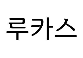 KPOP NCT(엔씨티、エヌシーティー) 루카스 (ルーカス) プリント用応援ボード型紙、うちわ型紙　韓国語/ハングル文字型紙 通常
