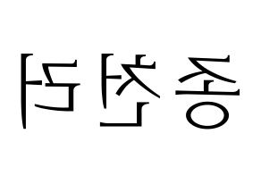 KPOP NCT(엔씨티、エヌシーティー) 천러 (チョンロ) 応援ボード・うちわ　韓国語/ハングル文字型紙 左右反転