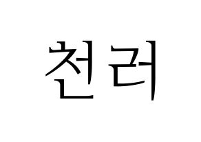KPOP NCT(엔씨티、エヌシーティー) 천러 (チョンロ) 応援ボード・うちわ　韓国語/ハングル文字型紙 通常