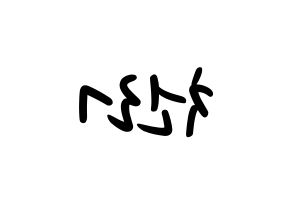 KPOP NCT(엔씨티、エヌシーティー) 천러 (チョンロ) 応援ボード ハングル 型紙  左右反転