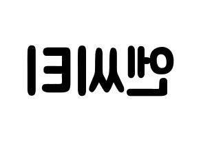KPOP歌手 NCT(엔씨티、エヌシーティー) 応援ボード型紙、うちわ型紙　韓国語/ハングル文字 左右反転