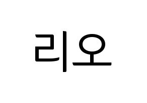 KPOP NiziU(니지유、ニジュー) 리오 (梨緒) コンサート用　応援ボード・うちわ　韓国語/ハングル文字型紙 通常