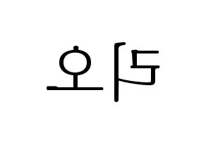 KPOP NiziU(니지유、ニジュー) 리오 (梨緒) 応援ボード・うちわ　韓国語/ハングル文字型紙 左右反転