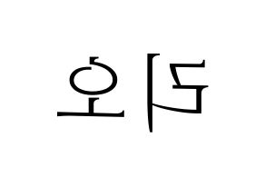 KPOP NiziU(니지유、ニジュー) 리오 (梨緒) 応援ボード・うちわ　韓国語/ハングル文字型紙 左右反転