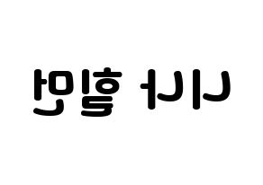 KPOP NiziU(니지유、ニジュー) 니나 (ニナ) 応援ボード・うちわ　韓国語/ハングル文字型紙 左右反転