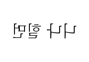 KPOP NiziU(니지유、ニジュー) 니나 (ニナ) 応援ボード・うちわ　韓国語/ハングル文字型紙 左右反転