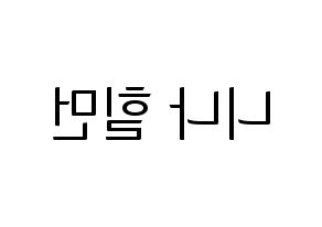 KPOP NiziU(니지유、ニジュー) 니나 (ニナ) コンサート用　応援ボード・うちわ　韓国語/ハングル文字型紙 左右反転