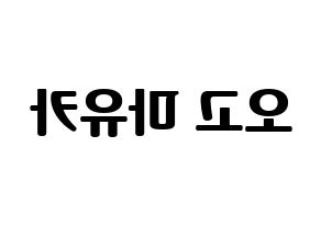 KPOP NiziU(니지유、ニジュー) 마유카 (麻由佳) コンサート用　応援ボード・うちわ　韓国語/ハングル文字型紙 左右反転