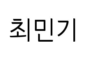 KPOP NU'EST(뉴이스트、ニューイースト) 렌 (レン) コンサート用　応援ボード・うちわ　韓国語/ハングル文字型紙 通常