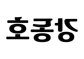 KPOP NU'EST(뉴이스트、ニューイースト) 백호 (ベクホ) コンサート用　応援ボード・うちわ　韓国語/ハングル文字型紙 左右反転