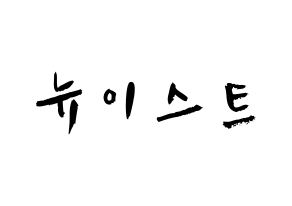 KPOP歌手 NU'EST(뉴이스트、ニューイースト) 応援ボード型紙、うちわ型紙　韓国語/ハングル文字 通常