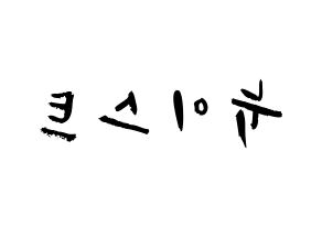 KPOP歌手 NU'EST(뉴이스트、ニューイースト) 応援ボード型紙、うちわ型紙　韓国語/ハングル文字 左右反転