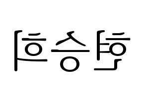 KPOP OH MY GIRL(오마이걸、オーマイガール) 승희 (スンヒ) 応援ボード・うちわ　韓国語/ハングル文字型紙 左右反転