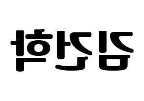 KPOP ONEUS(원어스、ワナス) 이도 (イド) コンサート用　応援ボード・うちわ　韓国語/ハングル文字型紙 左右反転