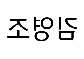 KPOP ONEUS(원어스、ワナス) 레이븐 (レイブン) プリント用応援ボード型紙、うちわ型紙　韓国語/ハングル文字型紙 左右反転