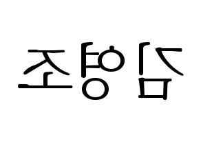 KPOP ONEUS(원어스、ワナス) 레이븐 (レイブン) 応援ボード・うちわ　韓国語/ハングル文字型紙 左右反転