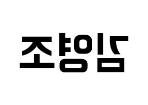 KPOP ONEUS(원어스、ワナス) 레이븐 (レイブン) k-pop アイドル名前 ファンサボード 型紙 左右反転