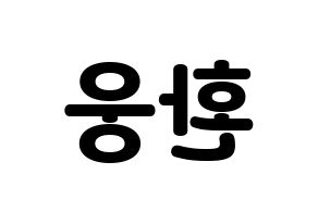 KPOP ONEUS(원어스、ワナス) 환웅 (ファヌン) 応援ボード・うちわ　韓国語/ハングル文字型紙 左右反転