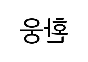 KPOP ONEUS(원어스、ワナス) 환웅 (ファヌン) コンサート用　応援ボード・うちわ　韓国語/ハングル文字型紙 左右反転