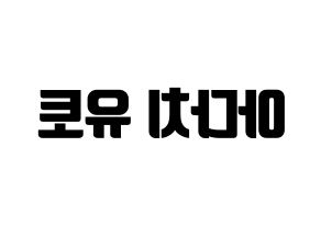KPOP PENTAGON(펜타곤、ペンタゴン) 유토 (ユウト) コンサート用　応援ボード・うちわ　韓国語/ハングル文字型紙 左右反転