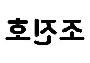 KPOP PENTAGON(펜타곤、ペンタゴン) 진호 (ジノ) 応援ボード・うちわ　韓国語/ハングル文字型紙 左右反転
