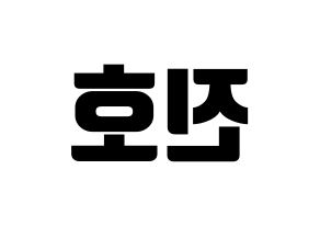 KPOP PENTAGON(펜타곤、ペンタゴン) 진호 (ジノ) コンサート用　応援ボード・うちわ　韓国語/ハングル文字型紙 左右反転