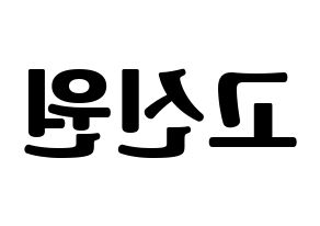 KPOP PENTAGON(펜타곤、ペンタゴン) 신원 (シノン) コンサート用　応援ボード・うちわ　韓国語/ハングル文字型紙 左右反転