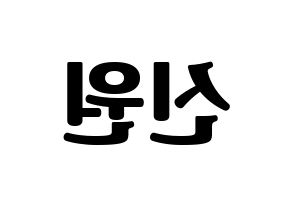 KPOP PENTAGON(펜타곤、ペンタゴン) 신원 (シノン) コンサート用　応援ボード・うちわ　韓国語/ハングル文字型紙 左右反転