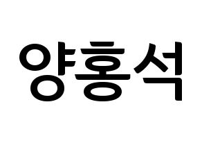 KPOP PENTAGON(펜타곤、ペンタゴン) 홍석 (ホンソク) k-pop アイドル名前 ファンサボード 型紙 通常