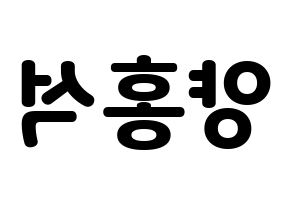 KPOP PENTAGON(펜타곤、ペンタゴン) 홍석 (ホンソク) 応援ボード・うちわ　韓国語/ハングル文字型紙 左右反転