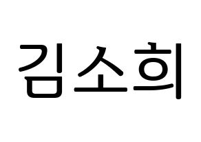 KPOP RCPC(로켓펀치、ロケットパンチ) 소희 (ソヒ) プリント用応援ボード型紙、うちわ型紙　韓国語/ハングル文字型紙 通常
