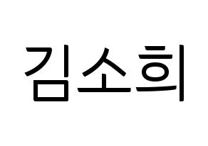 KPOP RCPC(로켓펀치、ロケットパンチ) 소희 (ソヒ) コンサート用　応援ボード・うちわ　韓国語/ハングル文字型紙 通常
