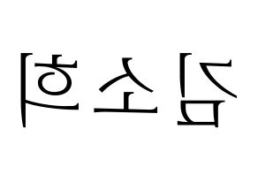 KPOP RCPC(로켓펀치、ロケットパンチ) 소희 (ソヒ) 応援ボード・うちわ　韓国語/ハングル文字型紙 左右反転