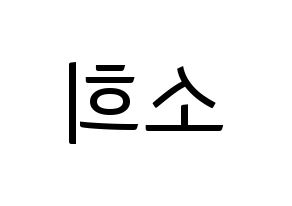 KPOP RCPC(로켓펀치、ロケットパンチ) 소희 (ソヒ) コンサート用　応援ボード・うちわ　韓国語/ハングル文字型紙 左右反転