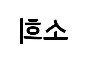 KPOP RCPC(로켓펀치、ロケットパンチ) 소희 (ソヒ) k-pop アイドル名前 ファンサボード 型紙 左右反転