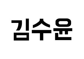 KPOP RCPC(로켓펀치、ロケットパンチ) 수윤 (スユン) k-pop アイドル名前 ファンサボード 型紙 通常