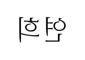 KPOP RCPC(로켓펀치、ロケットパンチ) 연희 (ヨ二) 応援ボード・うちわ　韓国語/ハングル文字型紙 左右反転