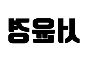 KPOP RCPC(로켓펀치、ロケットパンチ) 윤경 (ユンギョン) コンサート用　応援ボード・うちわ　韓国語/ハングル文字型紙 左右反転