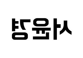 KPOP RCPC(로켓펀치、ロケットパンチ) 윤경 (ユンギョン) k-pop アイドル名前 ファンサボード 型紙 左右反転