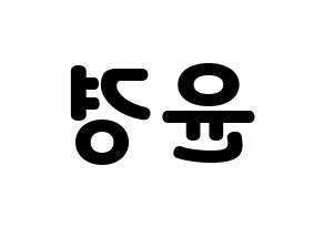 KPOP RCPC(로켓펀치、ロケットパンチ) 윤경 (ユンギョン) 応援ボード・うちわ　韓国語/ハングル文字型紙 左右反転