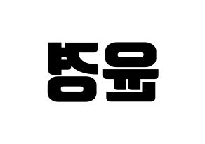 KPOP RCPC(로켓펀치、ロケットパンチ) 윤경 (ユンギョン) コンサート用　応援ボード・うちわ　韓国語/ハングル文字型紙 左右反転