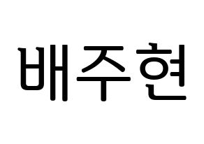 KPOP Red Velvet(레드벨벳、レッド・ベルベット) 아이린 (アイリーン) プリント用応援ボード型紙、うちわ型紙　韓国語/ハングル文字型紙 通常