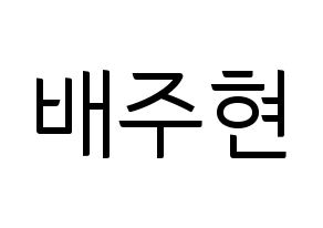 KPOP Red Velvet(레드벨벳、レッド・ベルベット) 아이린 (アイリーン) コンサート用　応援ボード・うちわ　韓国語/ハングル文字型紙 通常