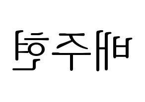 KPOP Red Velvet(레드벨벳、レッド・ベルベット) 아이린 (アイリーン) 応援ボード・うちわ　韓国語/ハングル文字型紙 左右反転