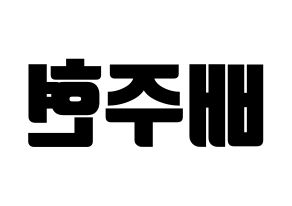 KPOP Red Velvet(레드벨벳、レッド・ベルベット) 아이린 (アイリーン) コンサート用　応援ボード・うちわ　韓国語/ハングル文字型紙 左右反転