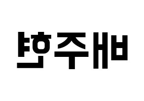 KPOP Red Velvet(레드벨벳、レッド・ベルベット) 아이린 (アイリーン) k-pop アイドル名前 ファンサボード 型紙 左右反転