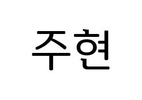 KPOP Red Velvet(레드벨벳、レッド・ベルベット) 아이린 (アイリーン) プリント用応援ボード型紙、うちわ型紙　韓国語/ハングル文字型紙 通常