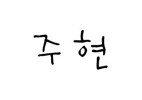 KPOP Red Velvet(레드벨벳、レッド・ベルベット) 아이린 (ペ・ジュヒョン, アイリーン) 無料サイン会用、イベント会用応援ボード型紙 通常