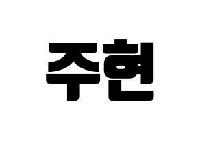 KPOP Red Velvet(레드벨벳、レッド・ベルベット) 아이린 (アイリーン) コンサート用　応援ボード・うちわ　韓国語/ハングル文字型紙 通常
